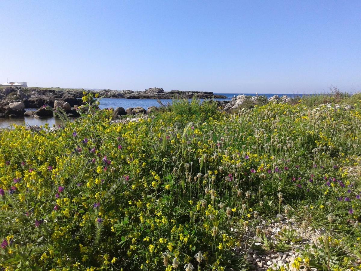 La Porta Di Mare B&B Nardo Bagian luar foto